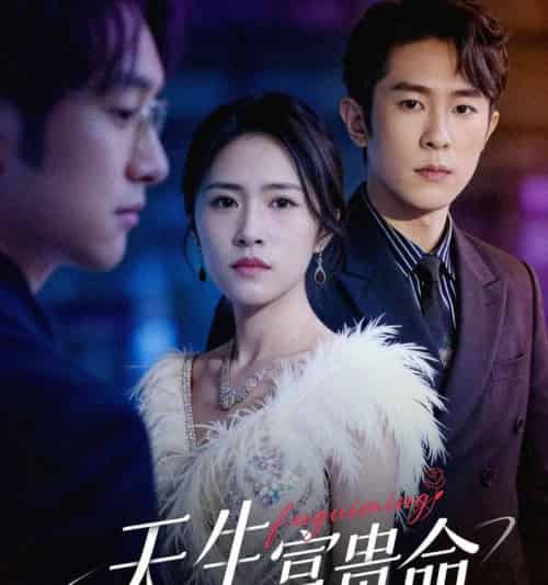 天生富贵命(48集全)胥宁轲&崔莹-初遇资源网