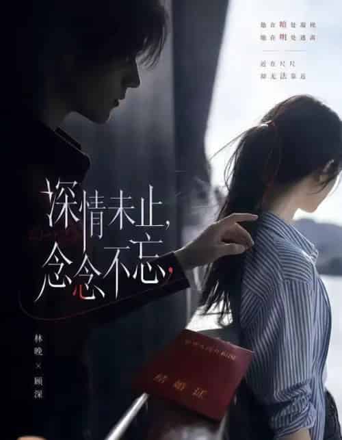 深情未止念念不忘 深情未止念念不忘