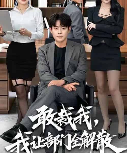 敢裁我，我让部门全解散（82集全）杨妍＆邱浩轩-初遇资源网