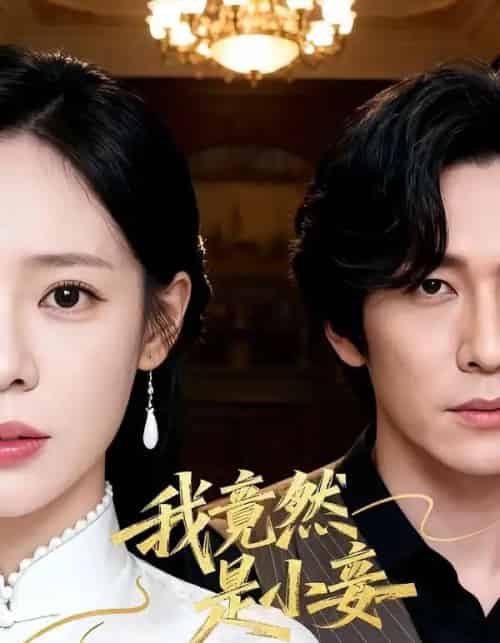 我竟然是小妾(47集全)李家豪&朱彤-初遇资源网