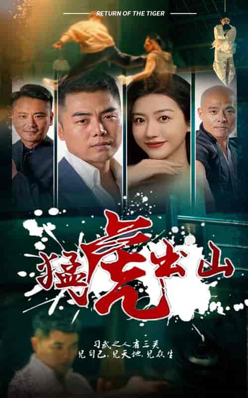 猛虎出山（69集）-初遇资源网