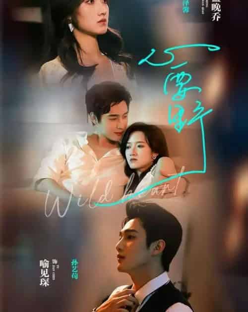 心要野(62集全)孙艺荀&董夜馨-初遇资源网