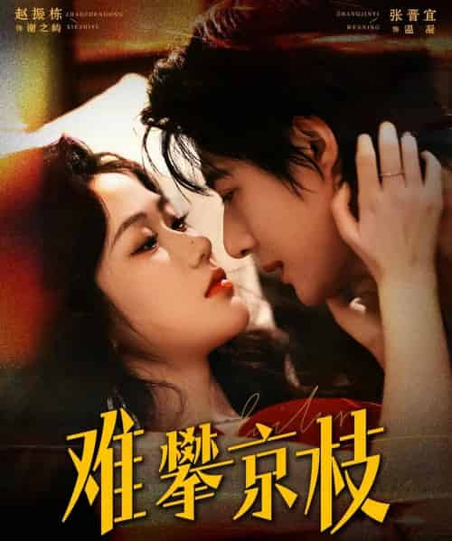 难攀京枝(74集全)赵振栋&张晋宜-初遇资源网