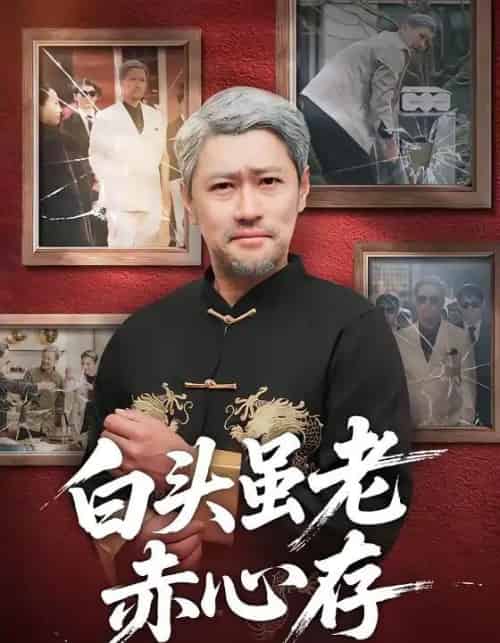 白头虽老赤心存（71集全）王争＆王晨-初遇资源网
