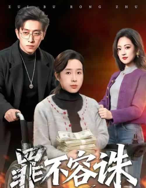 罪不容诛(80集全)林海燕&王艺朴-初遇资源网