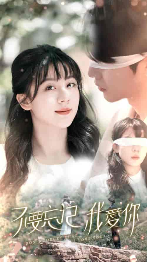 不要忘记我爱你（69集）-初遇资源网