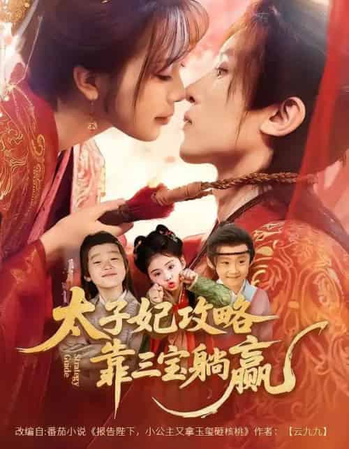 太子妃攻略，靠三宝躺赢了（60集全）刘一隆＆金雅娜-初遇资源网