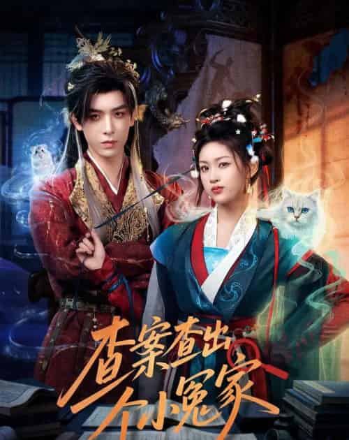 查案查出个小冤家（90集全）黄天崎＆谢卓亚-初遇资源网