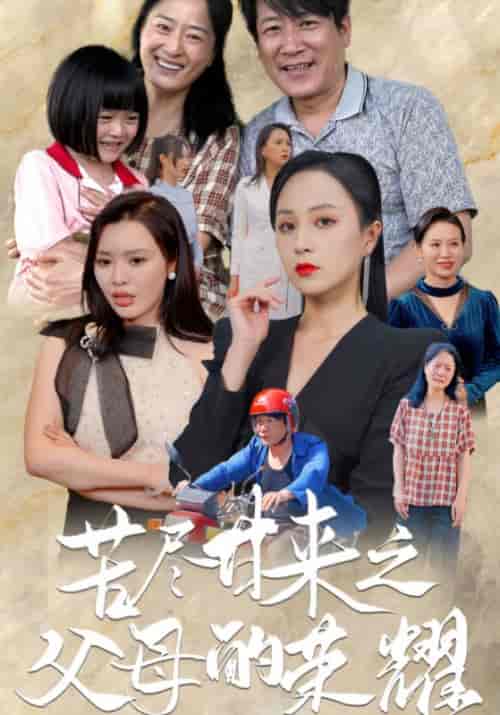 苦尽甘来之父母的荣耀（86集）-初遇资源网