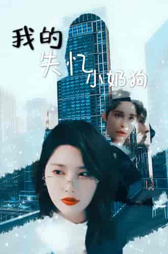 我的失忆小奶狗（64集）秦天爱＆柯俊-初遇资源网