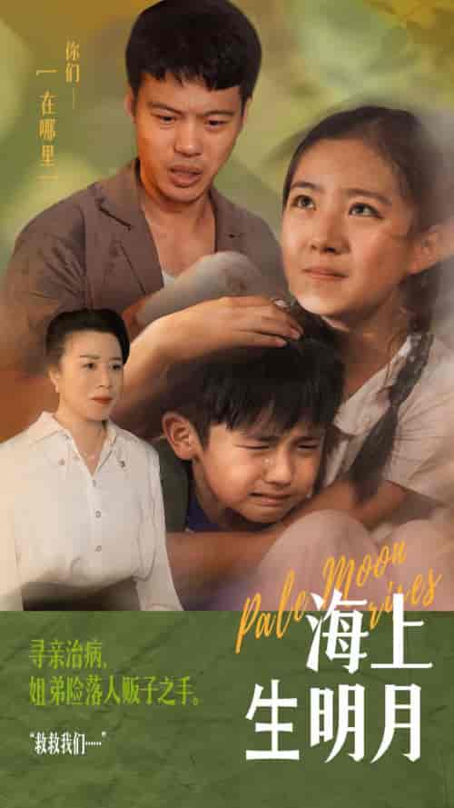 海上生明月（59集） - 夸克短剧