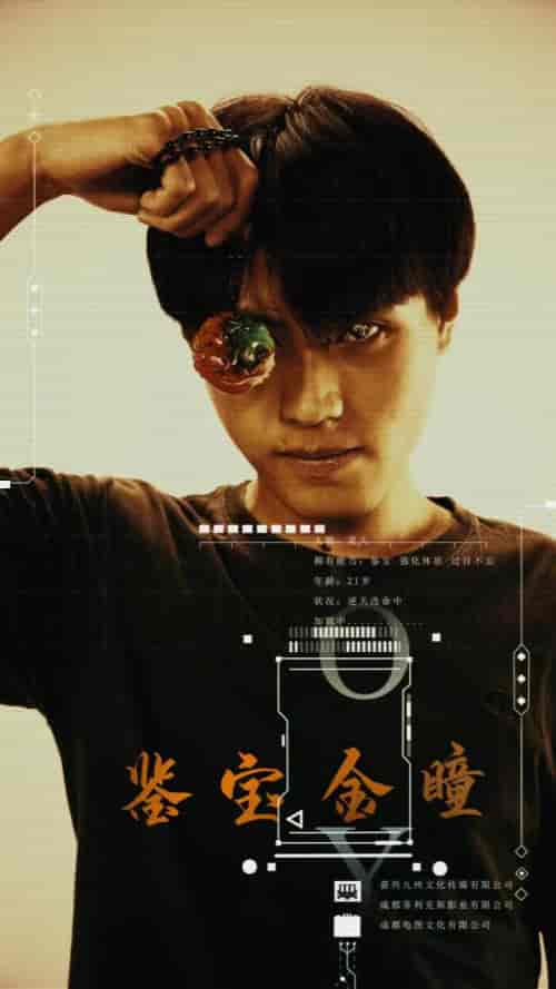 鉴宝金瞳-80集-初遇资源网