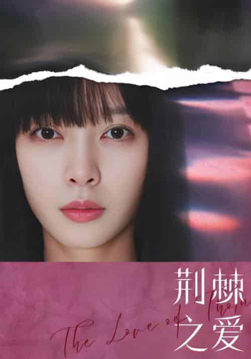 荆棘之爱(66集全)陈昊&言曼-初遇资源网