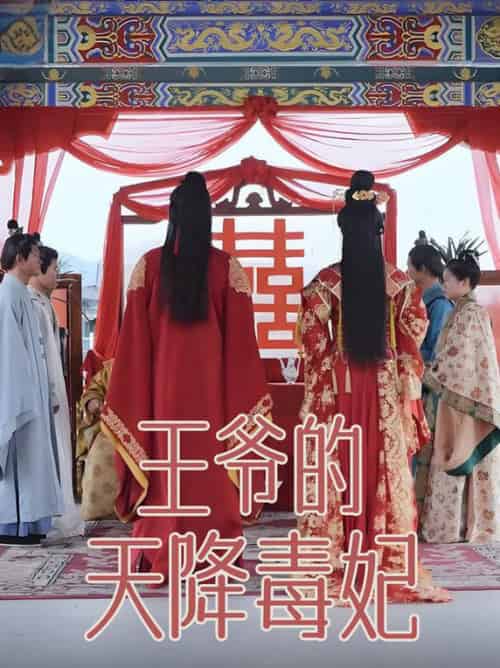 王爷的天降毒妃(73集全)樊纾宁-初遇资源网
