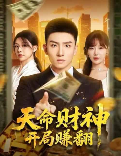 天命财神开局赚翻（80集全）霍文琦＆常文景-初遇资源网