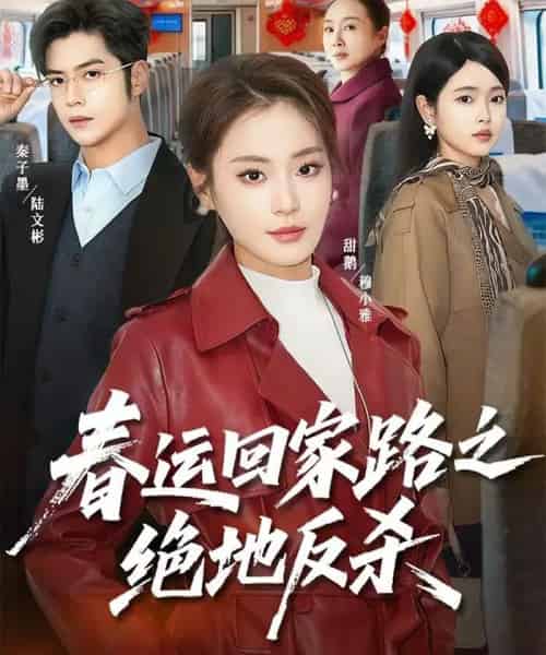 春运回家路之绝地反杀（59集全）秦子墨＆甜鹅-初遇资源网