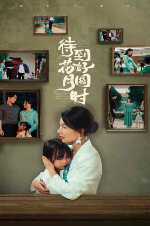 待到花好月圆时（30集）-初遇资源网