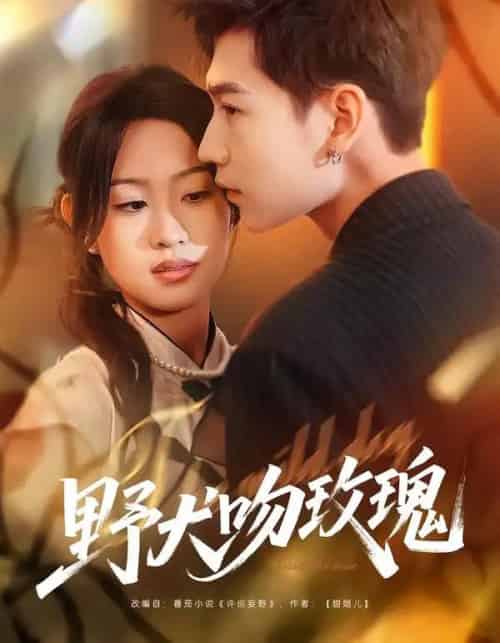 野犬吻玫瑰（70集全）王继冉＆孙园静-初遇资源网