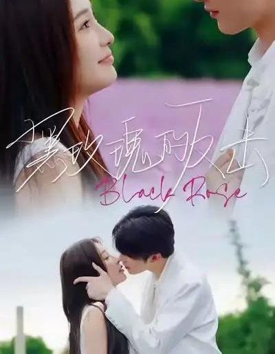 黑玫瑰的反击（47集全）裘哲夫＆焦娇-初遇资源网