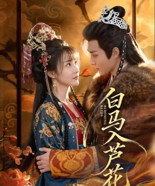 白马入芦花（59集全）纪忠庆＆杨舒亦 - 夸克短剧