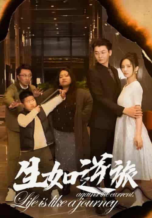 生如逆旅（31集全） - 夸克短剧