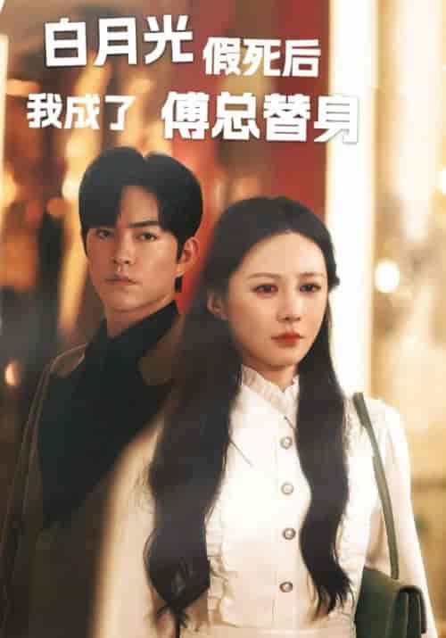 白月光假死后我成为傅总替身（60集全）傅少霆＆林熙-初遇资源网