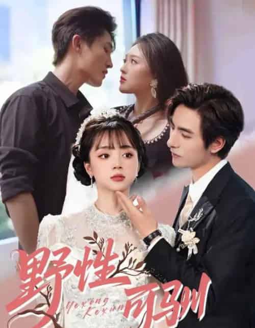 野性可驯（63集）李豪＆蔡淼燕-初遇资源网