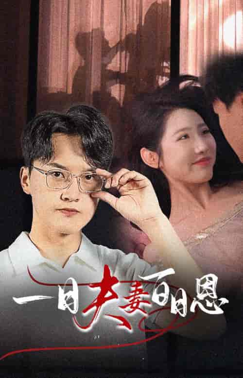 一日夫妻百日恩（30集全）-初遇资源网