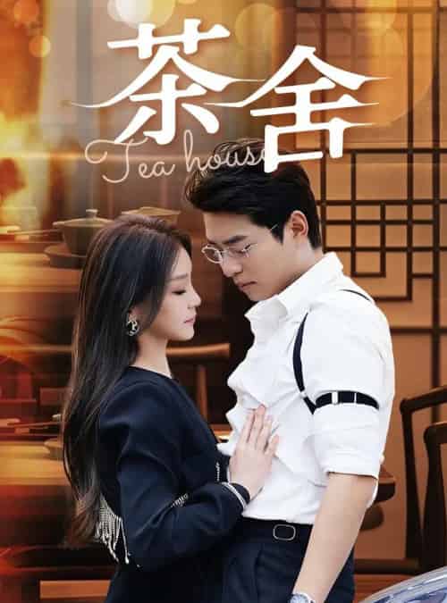 茶舍＆茶社 （40集）-初遇资源网