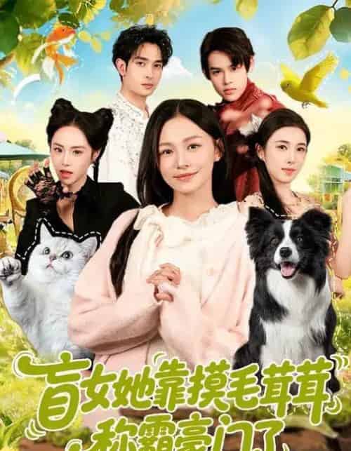 盲女她靠摸毛茸茸称霸豪门了（84集全）陈洁怡＆范骏羽-初遇资源网