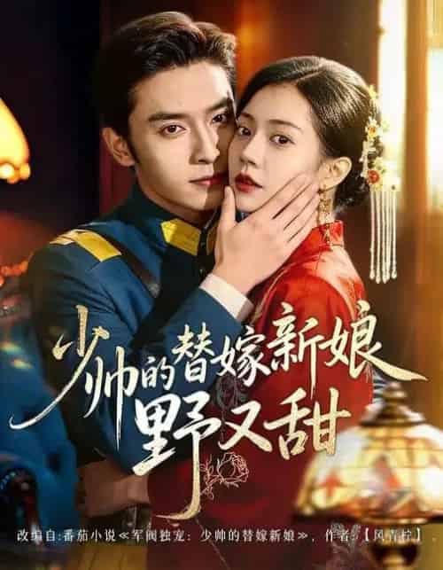 少帅的替嫁新娘野又甜（60集全）王博＆孙婉晴-初遇资源网