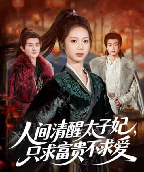 人间清醒太子妃，只求富贵不求爱（60集全）陈冠峄＆姚慧-初遇资源网