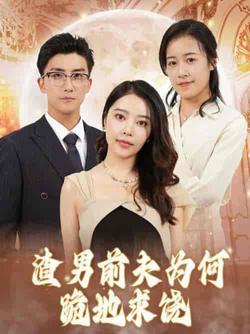 渣男前夫为何跪地求饶(30集全)-初遇资源网