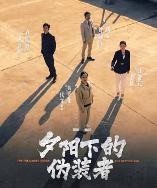 夕阳下的伪装者(47集全)刘灿&龙泽鸣-初遇资源网