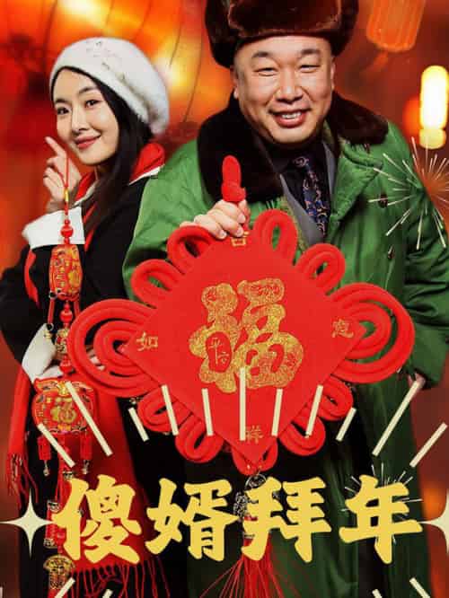 傻婿拜年（32集全）-初遇资源网