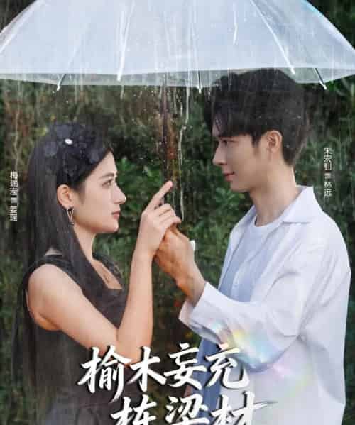 榆木妄充栋梁材（88集全）朱宏钊＆梅瑞滢-初遇资源网