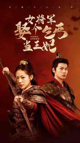 女将军娶个乞丐当王妃(94集)-初遇资源网