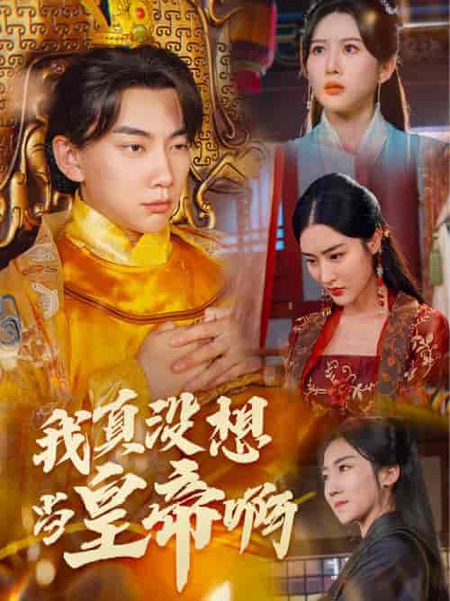 回到古代当昏君(71集)-初遇资源网