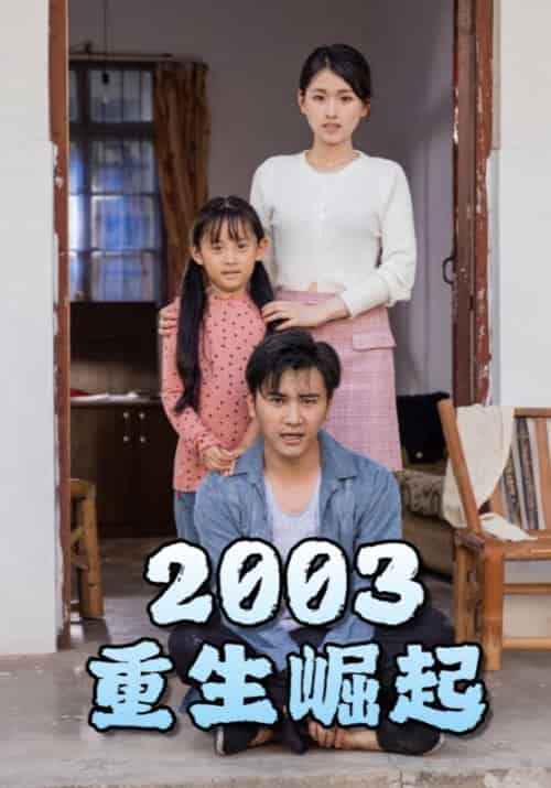 重生崛起2003(100集)-初遇资源网