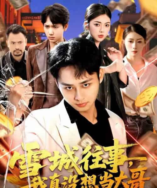 雪城往事,我真没想当大哥(99集全)卢艺煊&邵迪-初遇资源网