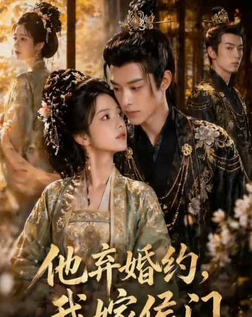 他弃婚约我嫁侯门（47集全）-初遇资源网