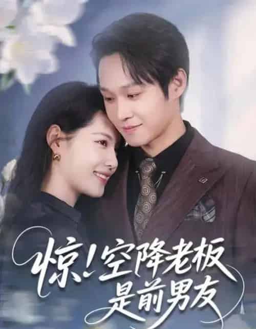 惊！空降老板是前男友（65集全）董洁＆王金泽-初遇资源网