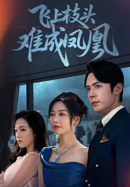 飞上枝头难成凤凰（47集全）刘清心＆王亦宸-初遇资源网