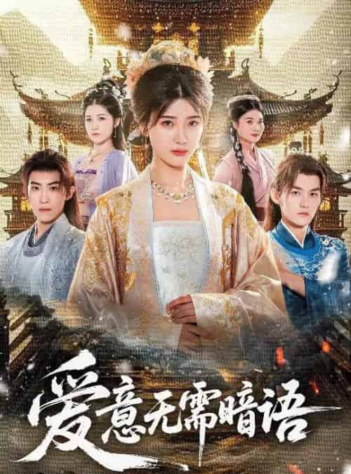 爱意无需暗语（60集全）臧晓嘉＆卢彦觉浅-初遇资源网