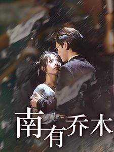 南有乔木(60集全)-初遇资源网