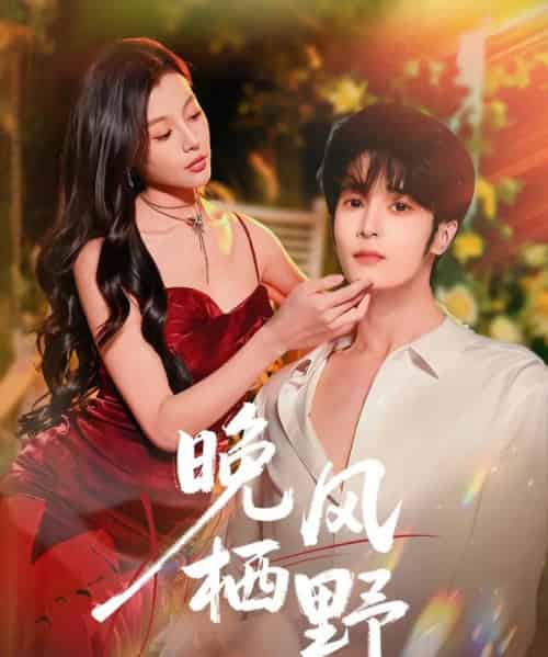 晚风栖野（80集全）林昱希＆椿添-初遇资源网