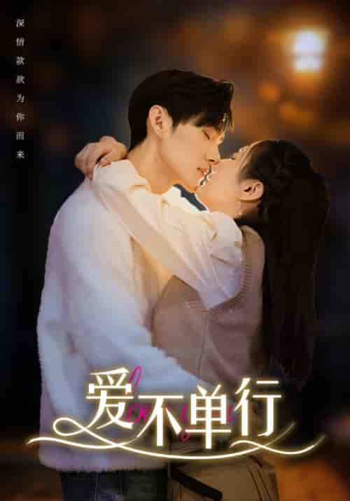爱不单行(102集)-初遇资源网