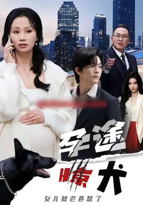 孕途惊犬，女儿奴老爸怒了（30集全）钱怡＆彭梓洋-初遇资源网