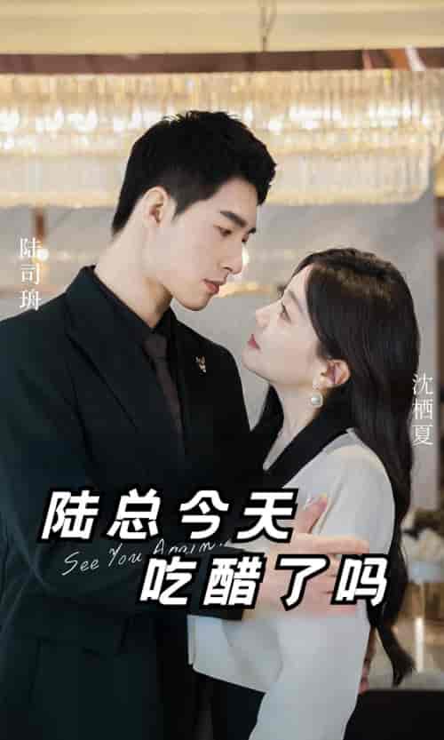 陆总今天吃醋了吗(50集)-初遇资源网