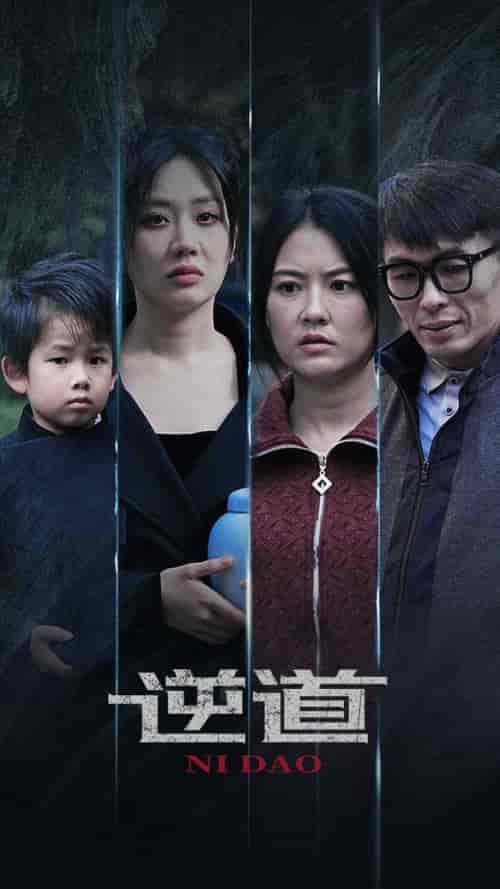 逆道(41集全)-初遇资源网